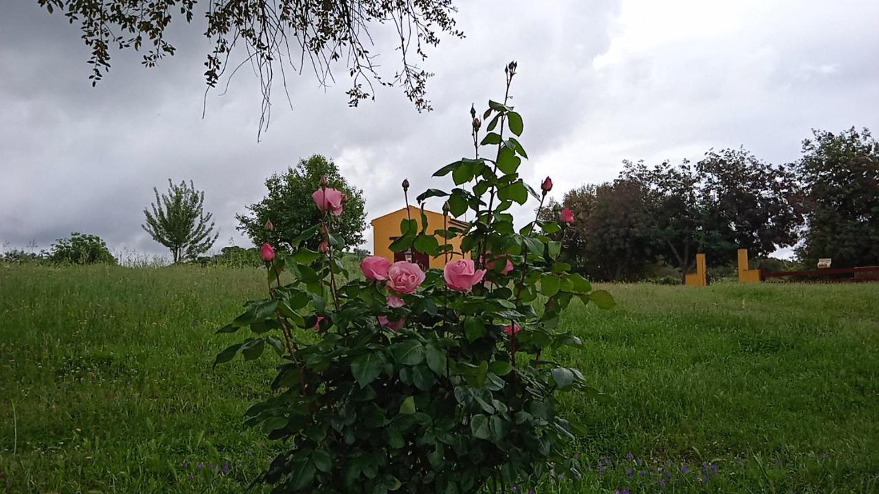 Casa Rural Camino Del Alentejo Vila La Codosera Exterior foto