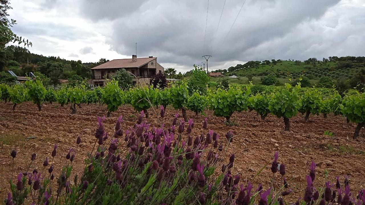 Casa Rural Camino Del Alentejo Vila La Codosera Exterior foto