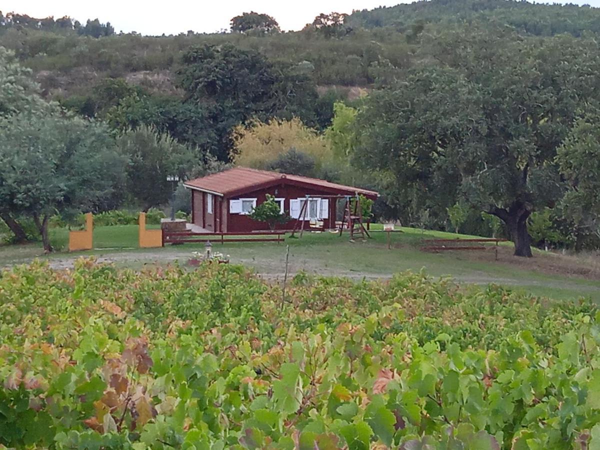 Casa Rural Camino Del Alentejo Vila La Codosera Exterior foto