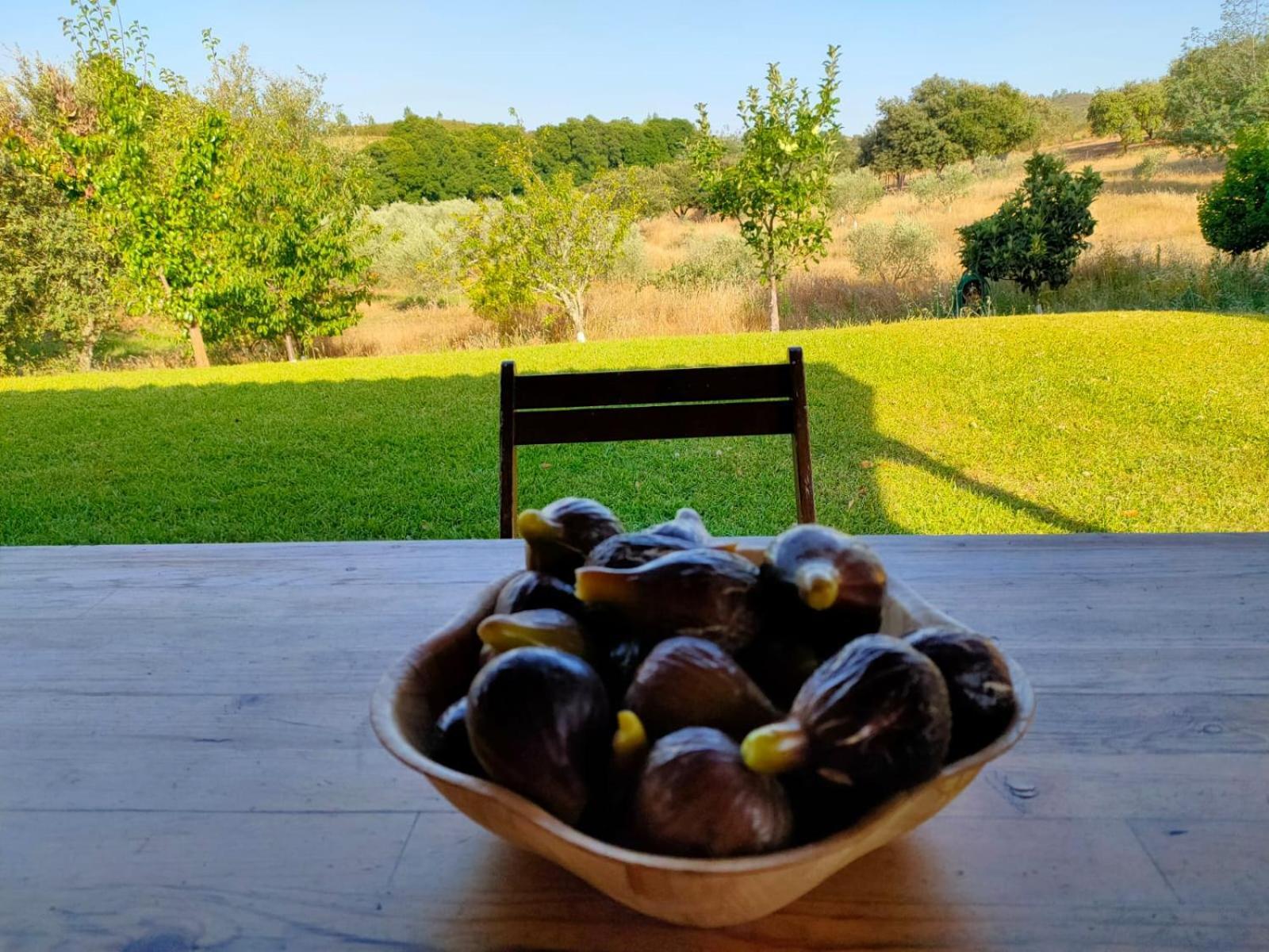 Casa Rural Camino Del Alentejo Vila La Codosera Quarto foto